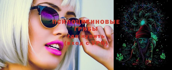 экстази Горняк