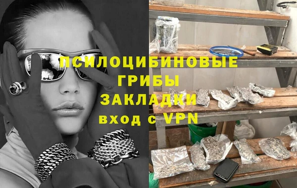 соль ск Горно-Алтайск