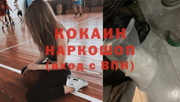 соль ск Горно-Алтайск