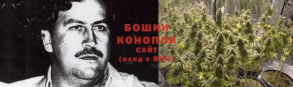 экстази Горняк